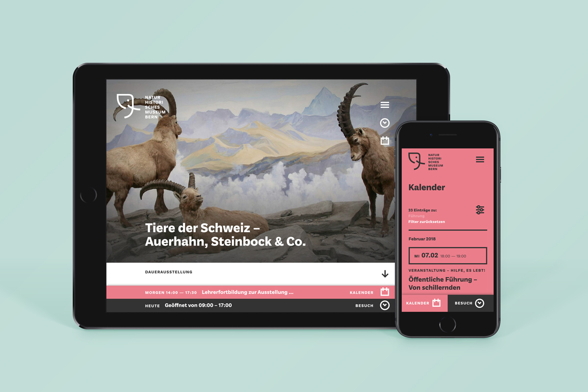 Naturhistorisches Museum Bern, responsive Website